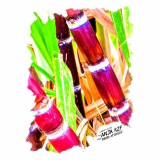 Pack découverte Rhum Pur Jus de Canne Asie / Océanie coffret 5 rhums + verre