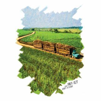 Pack découverte Rhums Doux coffret 5 rhums + verre