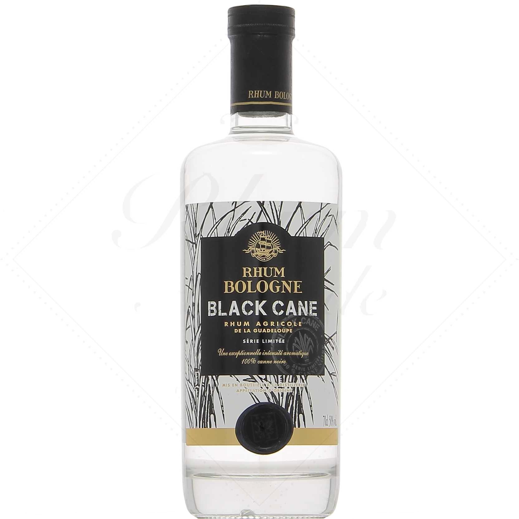 Bologne Black Cane série limitée 2021 50°