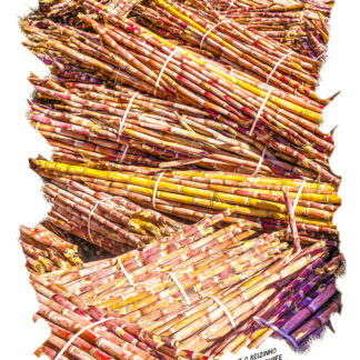 Pack découverte Distillerie O Reizinho coffret 5 rhums + verre