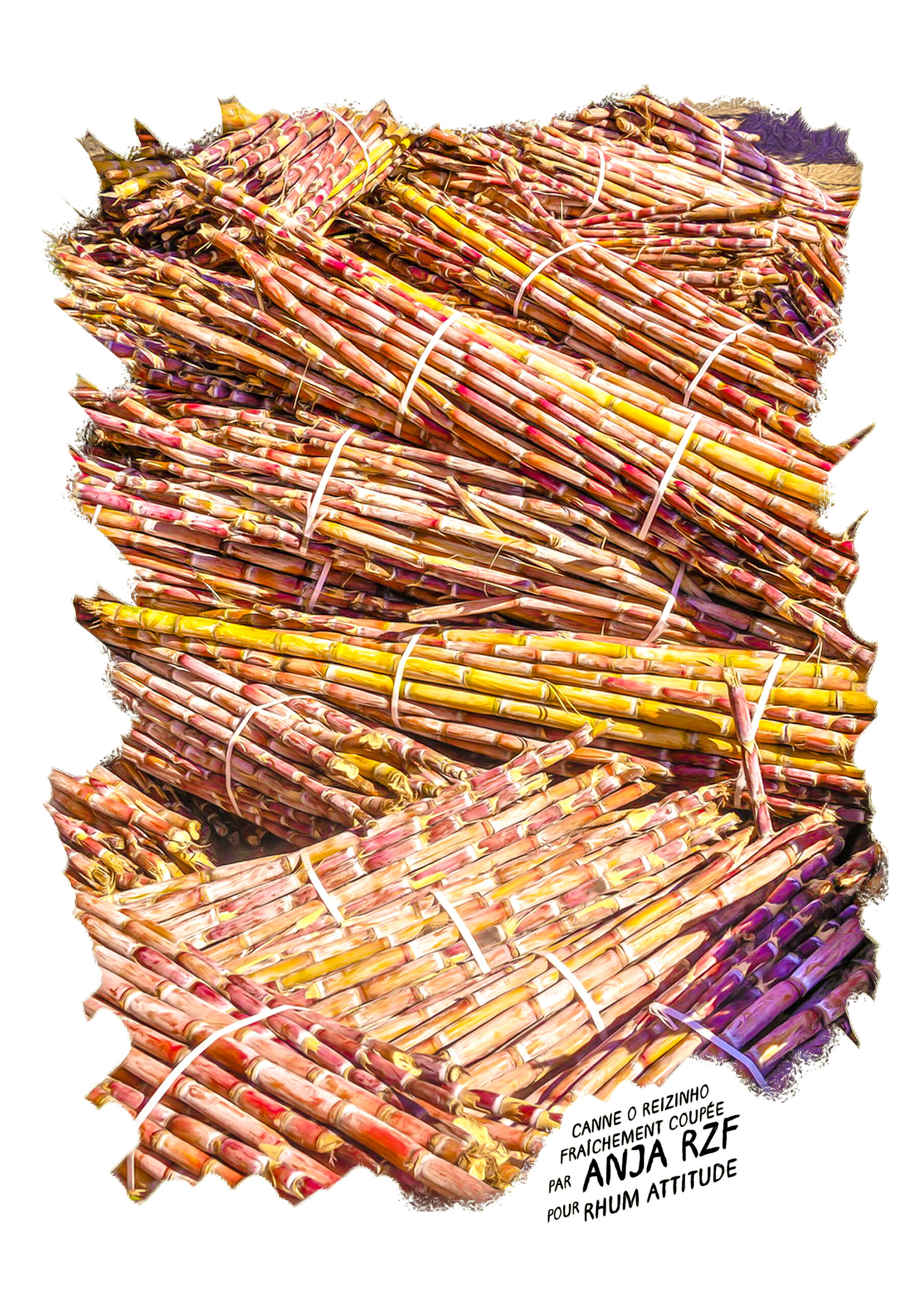 Pack découverte Distillerie O Reizinho coffret 5 rhums + verre