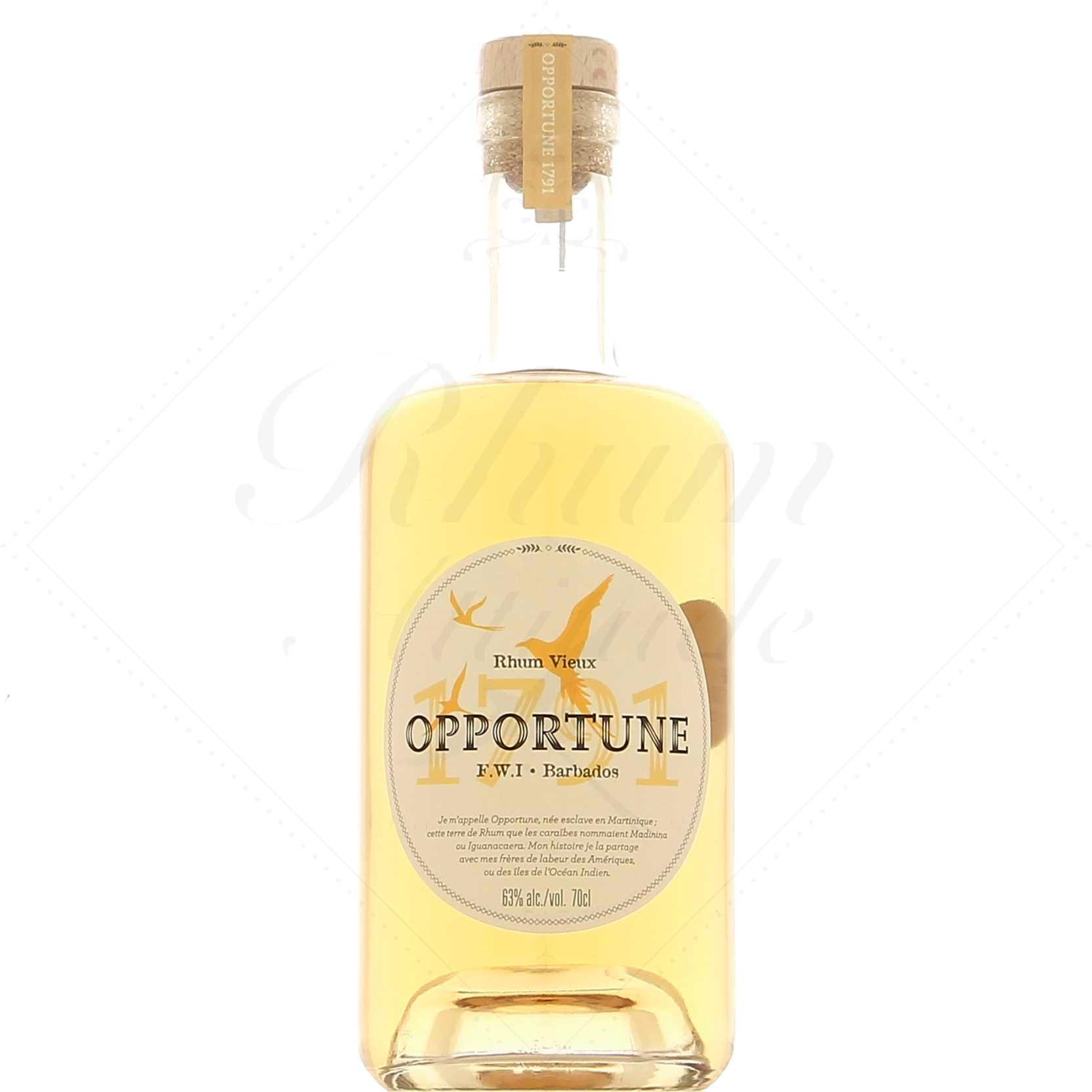 Opportune Chabine Dorée F.W.I Barbados 63° – Image 2