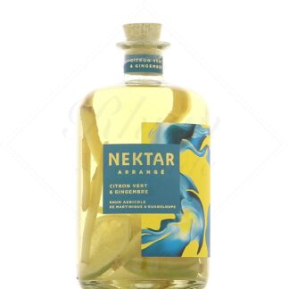 Nektar Citron Vert Gingembre 28°