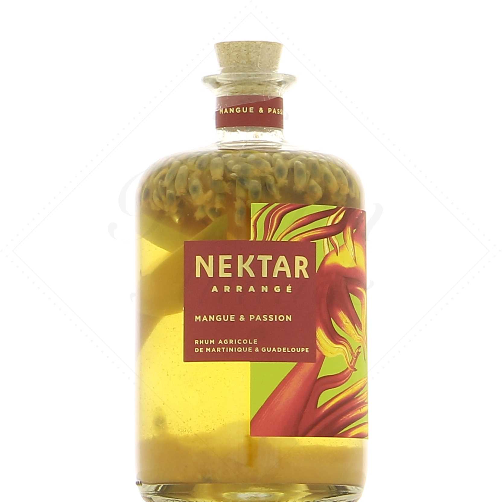 Nektar Mangue Passion 28°